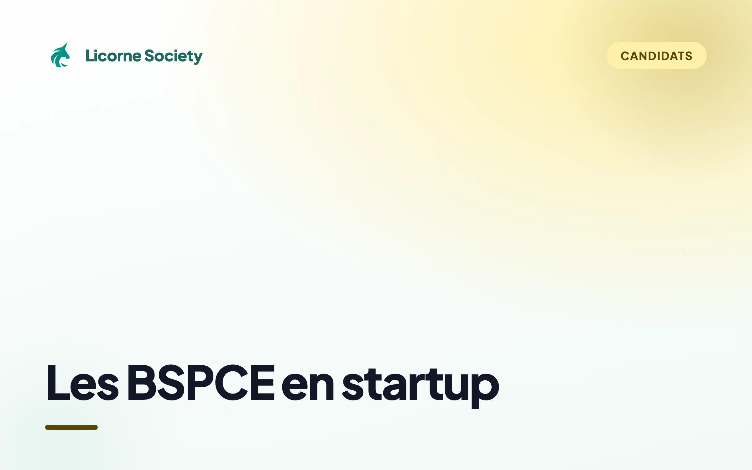 Tout comprendre sur les BSPCE en startup