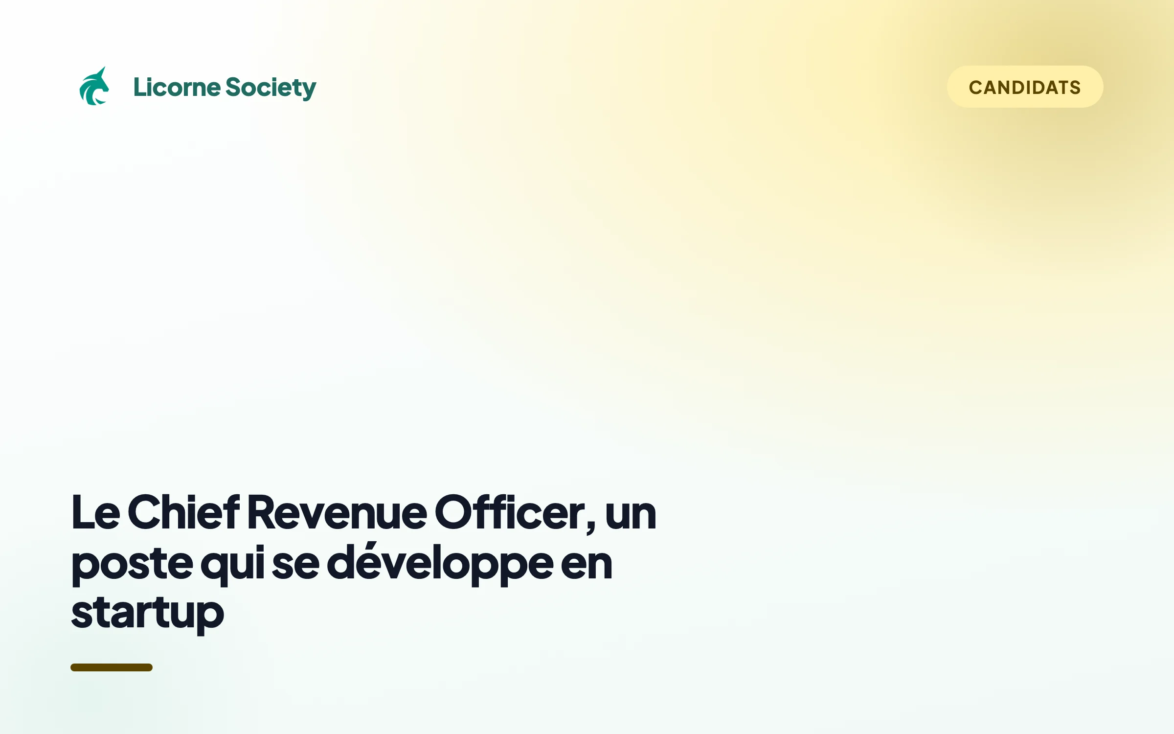 Chief Revenue Officer en startup : rôle, enjeux, salaire