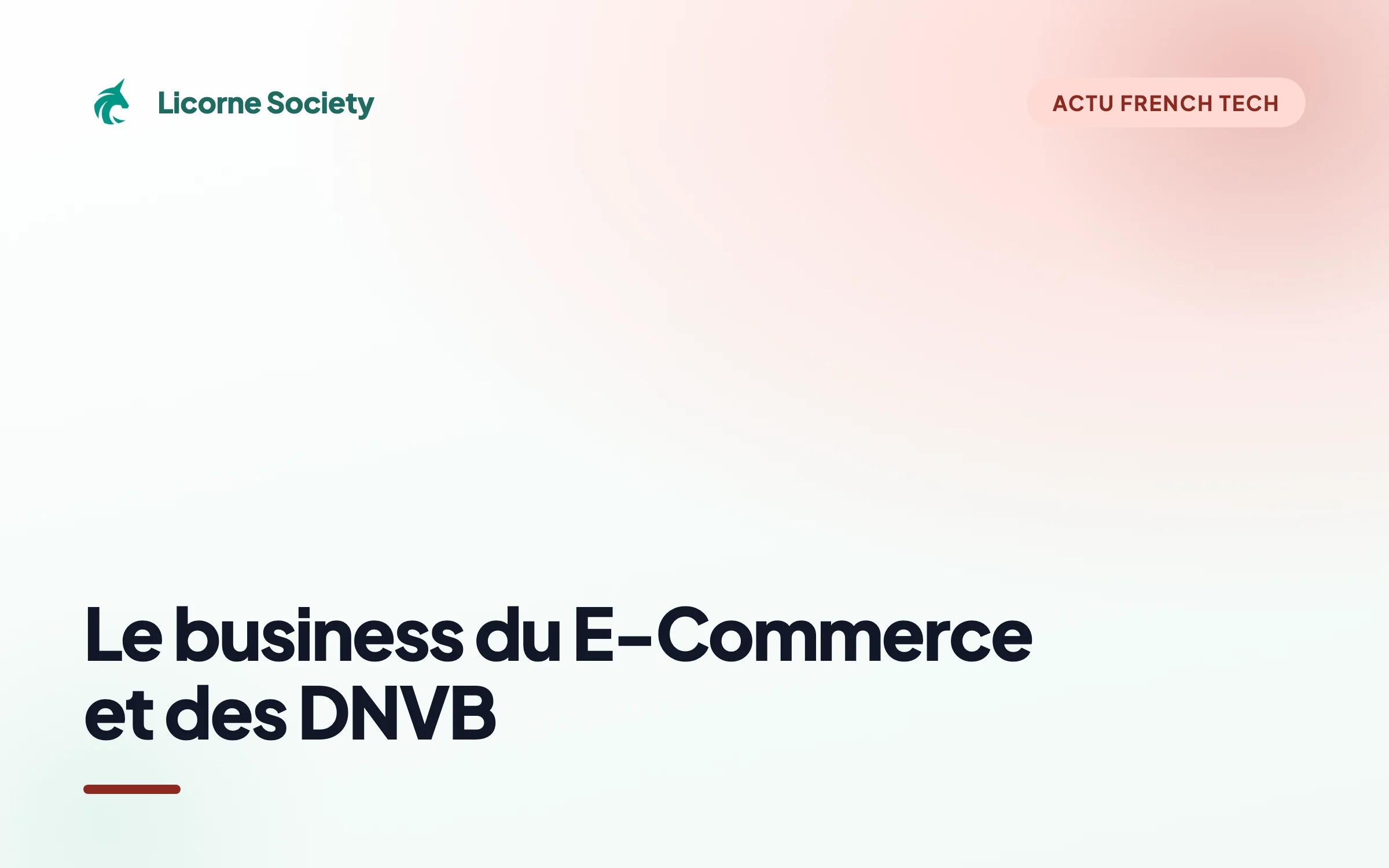 Le business du E-Commerce et des DNVB : Guide complet