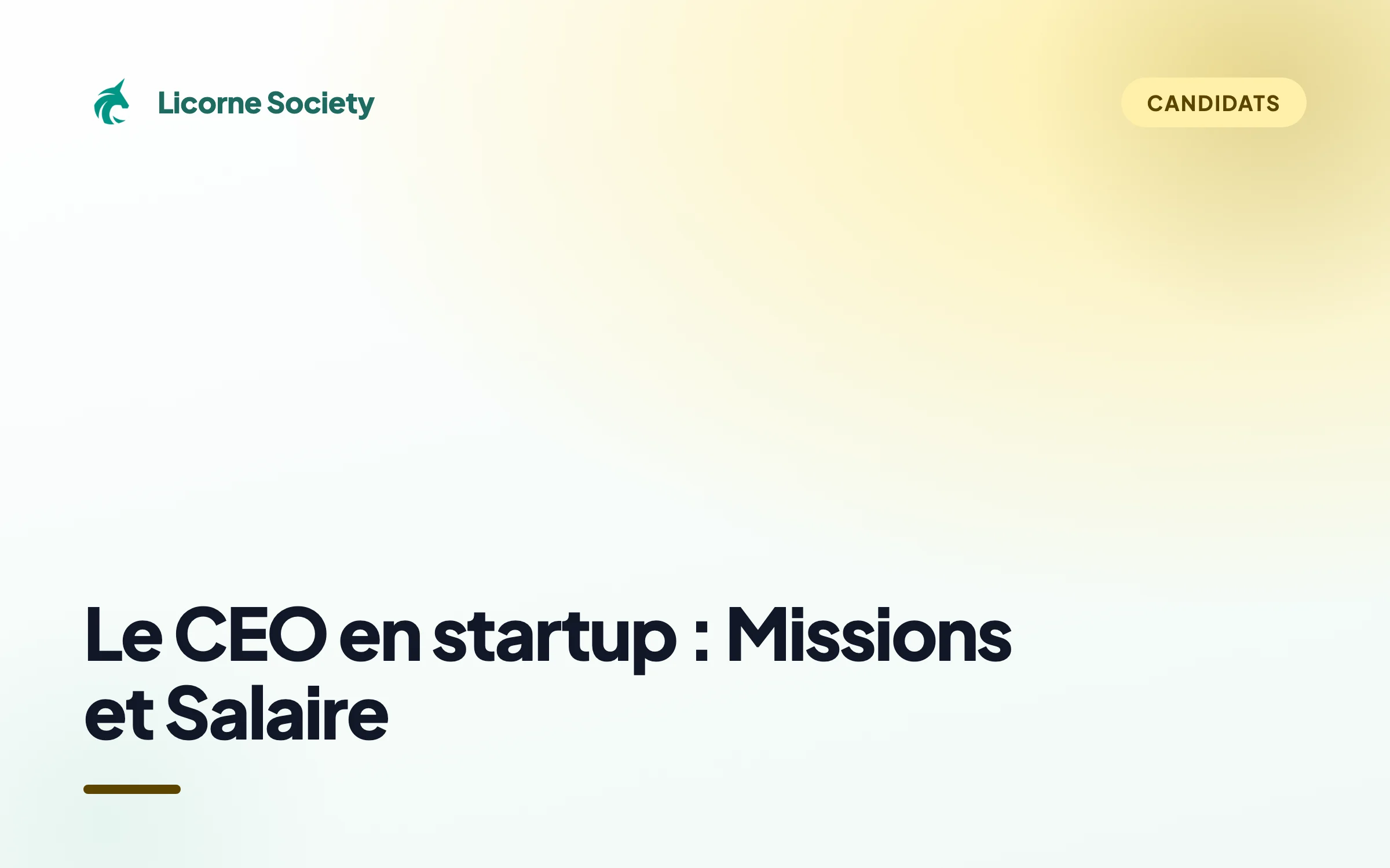 Le rôle de CEO en startup : missions et salaire en 2026