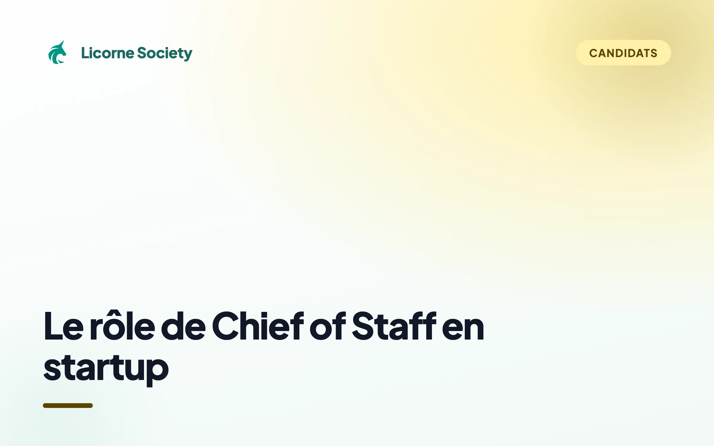 Chief of Staff Startup : missions, salaire et formations