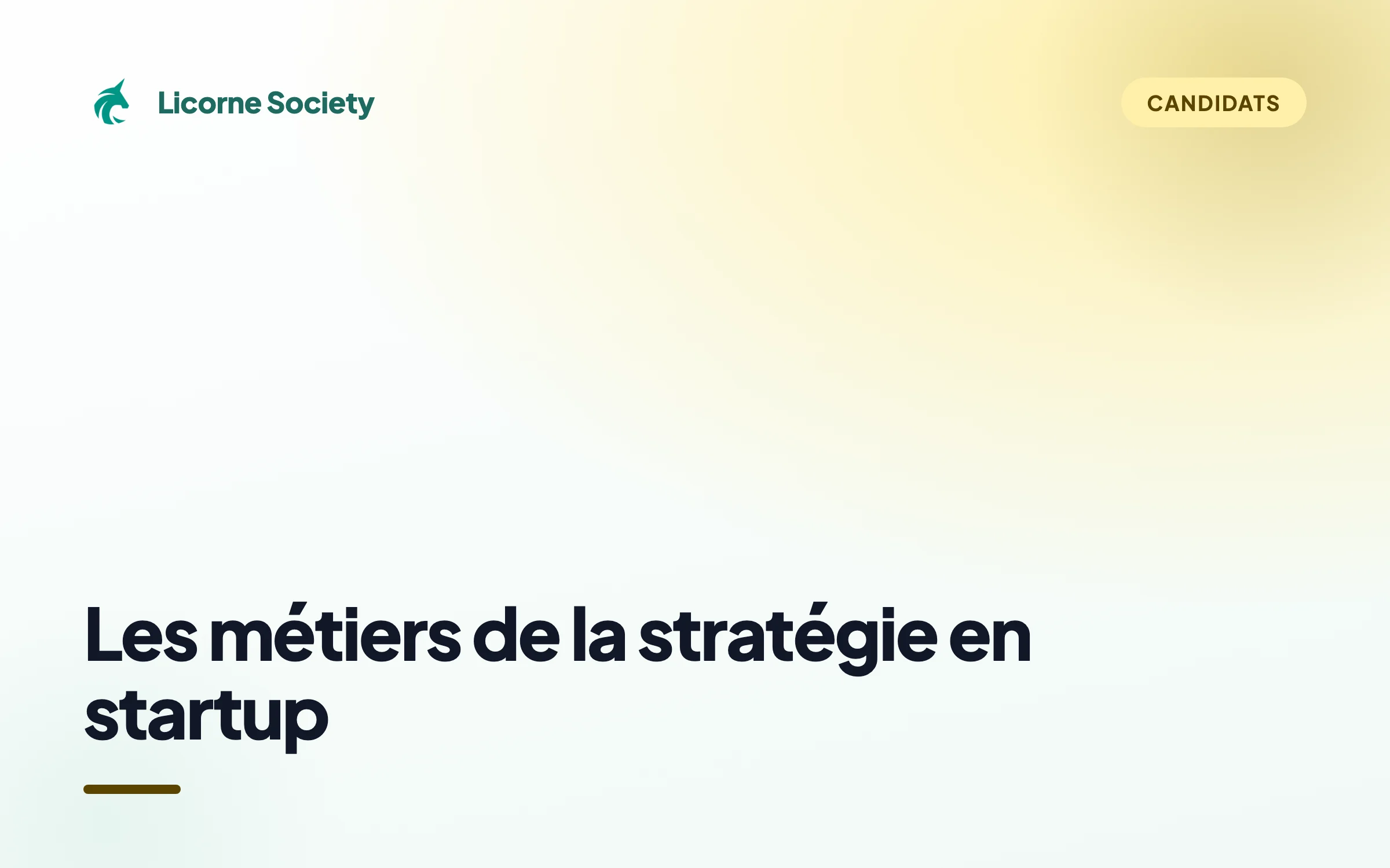 Quels sont les métiers de la stratégie en startup ?