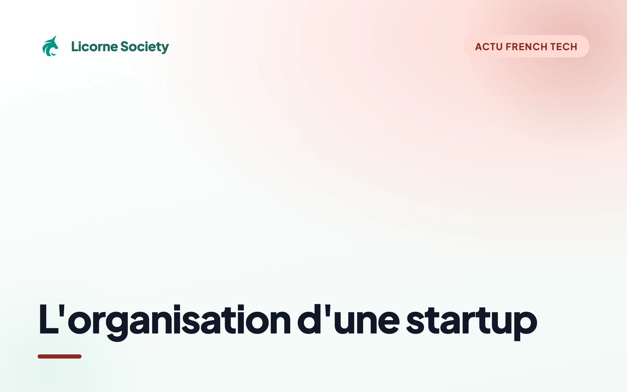 Quelle est l'organisation d'une startup ?