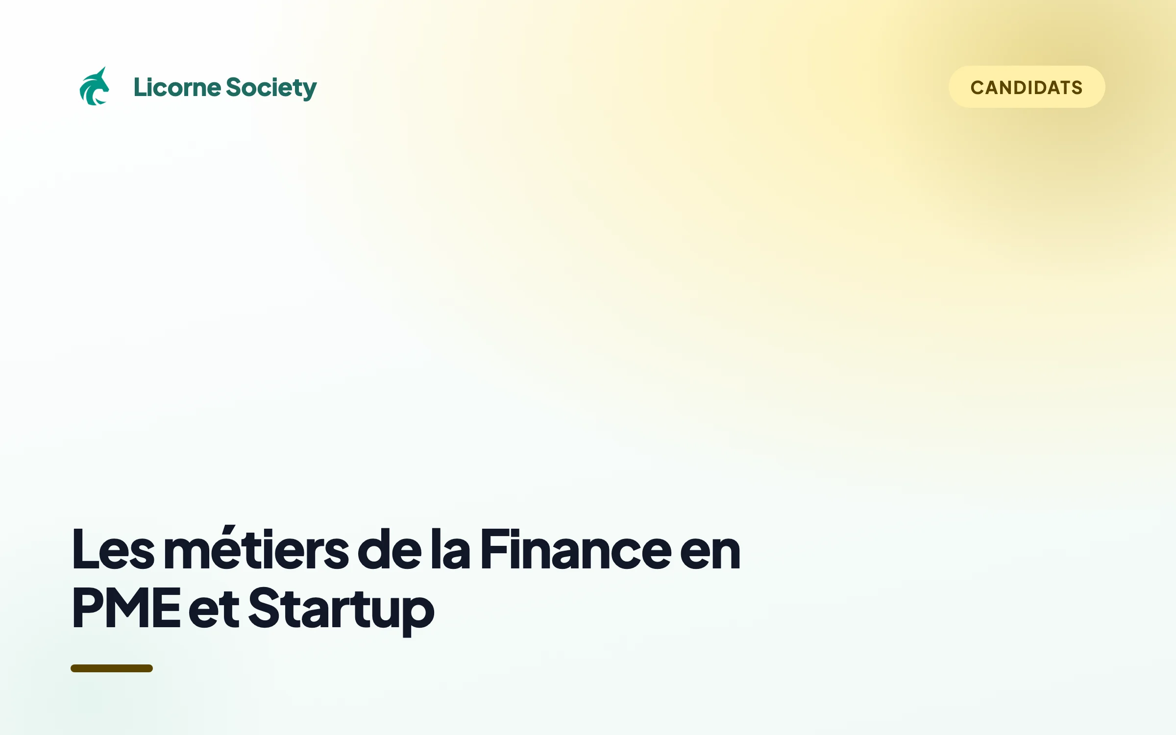 Quels sont les métiers de la Finance en PME et Startup ?