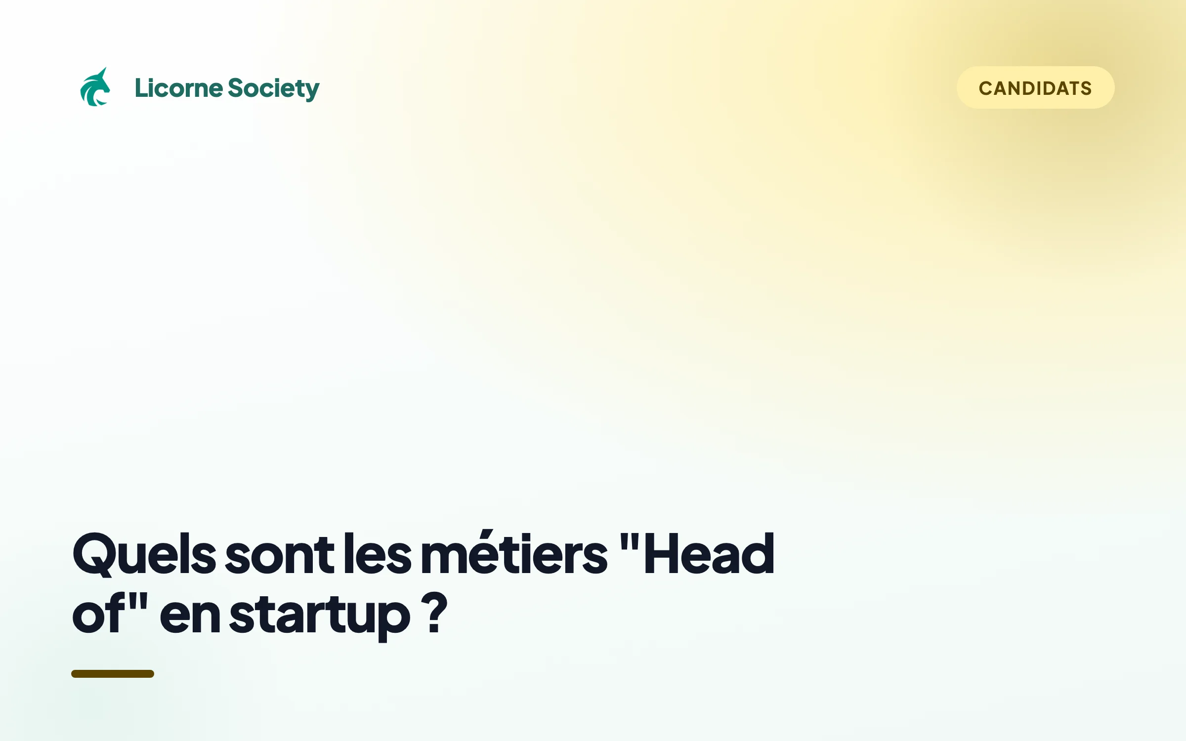 Les métiers "Head of" en Startup