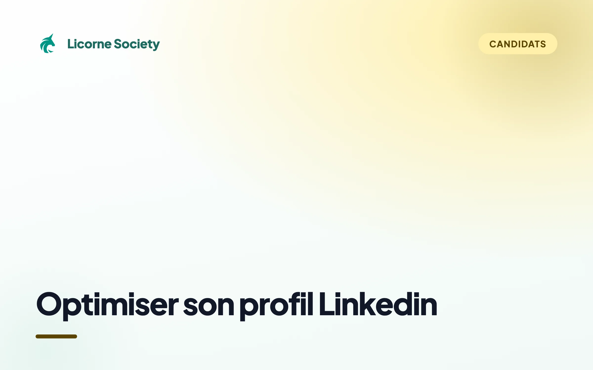 Comment optimiser son profil Linkedin pour les recruteurs ?