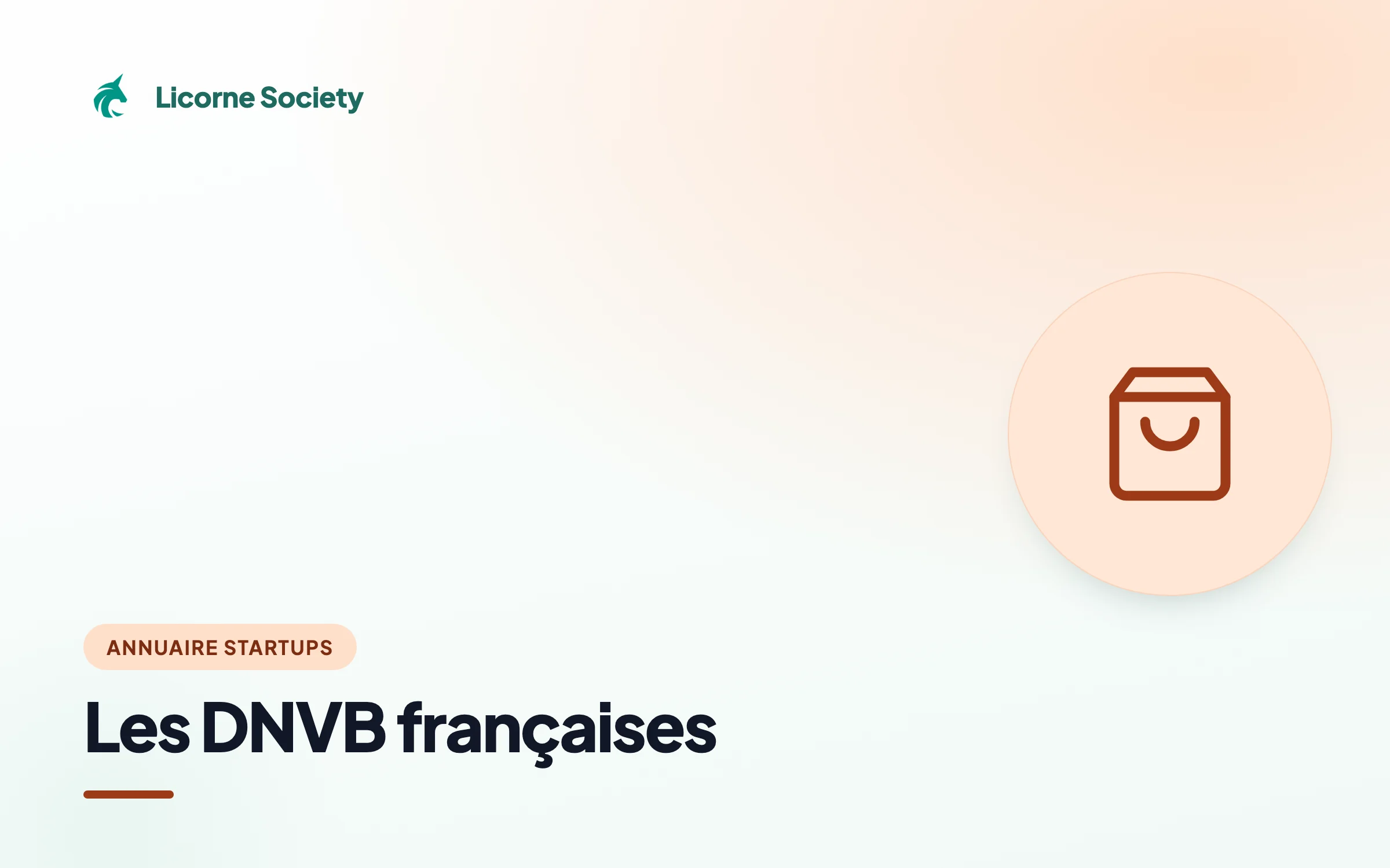 Les DNVB françaises